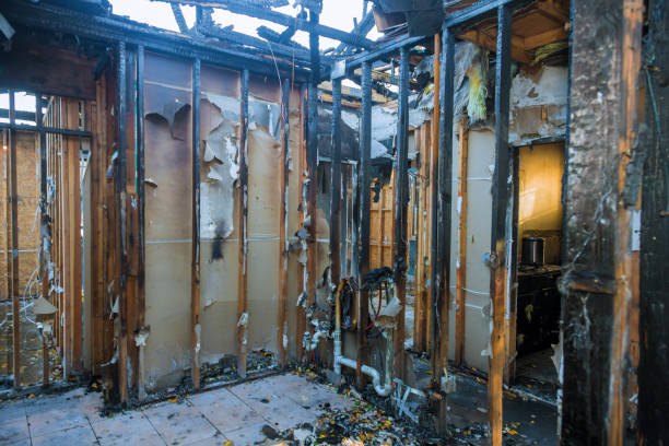 Professional Fire Damage Removal technician working in Preston, WA